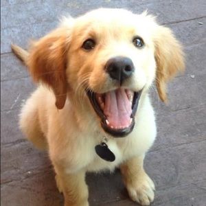 Meet your Posher, Sabrina